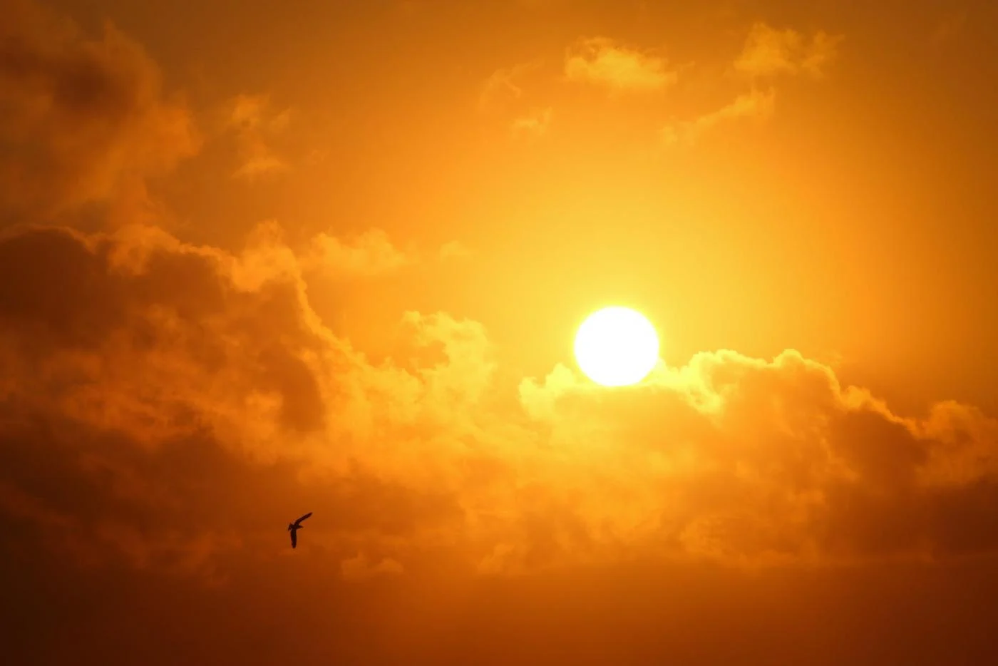 Ostrzeżenie meteorologiczne przed upałami