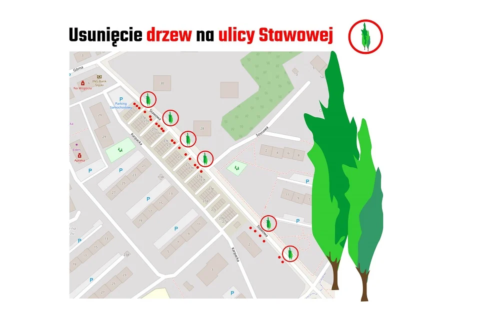 Na ulicy Stawowej w najbliższym czasie zostanie wyciętych 27 drzew