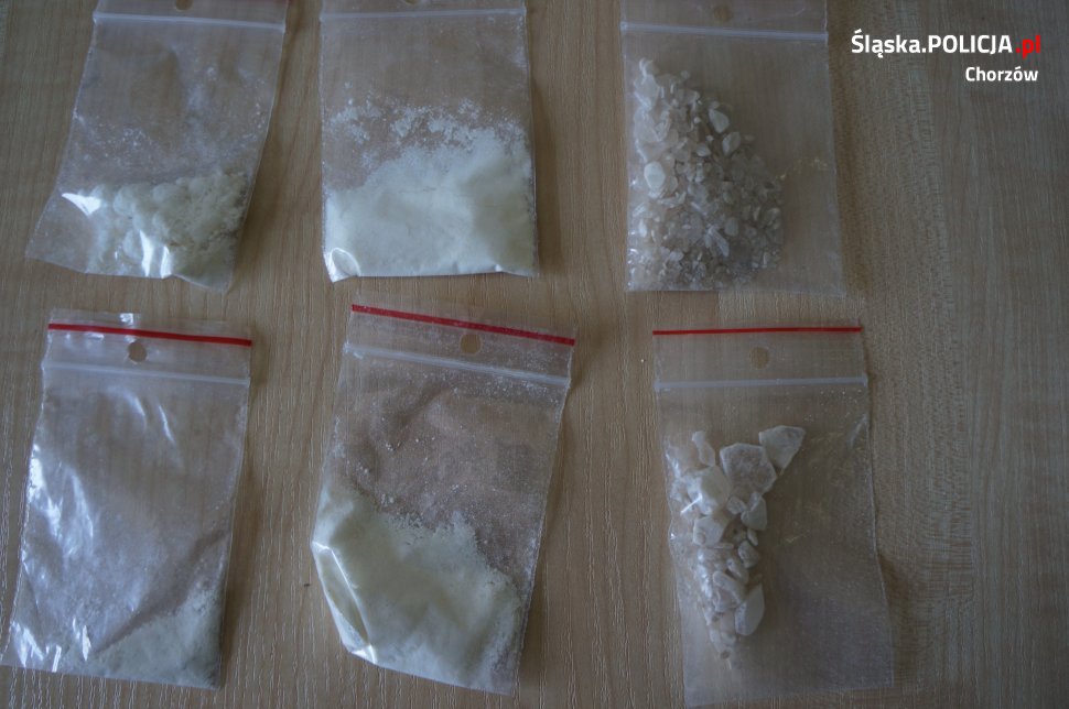 Amfetamina w lodówce. 25 - latka z zarzutami posiadania znacznej ilości narkotyków
