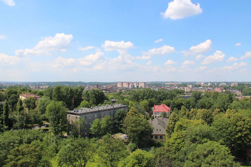 Chorzów urządza się na zielono. W mieście powstaną zielony dywan, ściana i podwórko