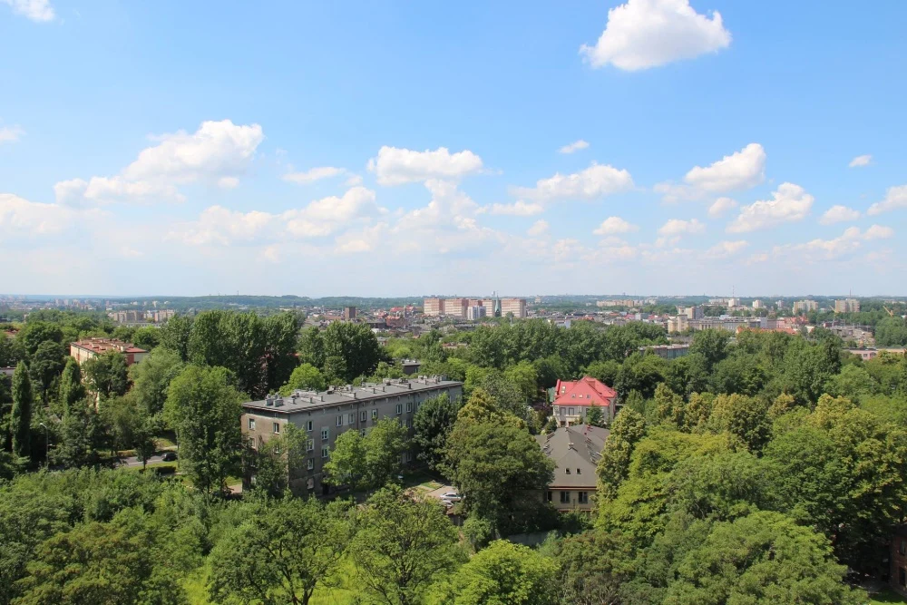 Chorzów urządza się na zielono. W mieście powstaną zielony dywan, ściana i podwórko
