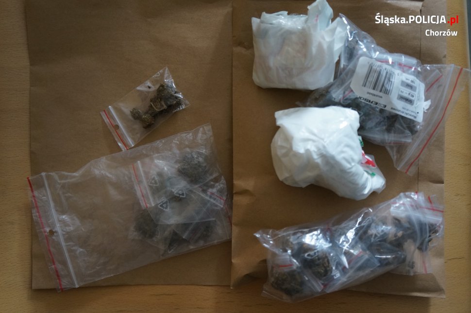 Legitymowanie zakończyło się zarzutami za posiadanie narkotyków