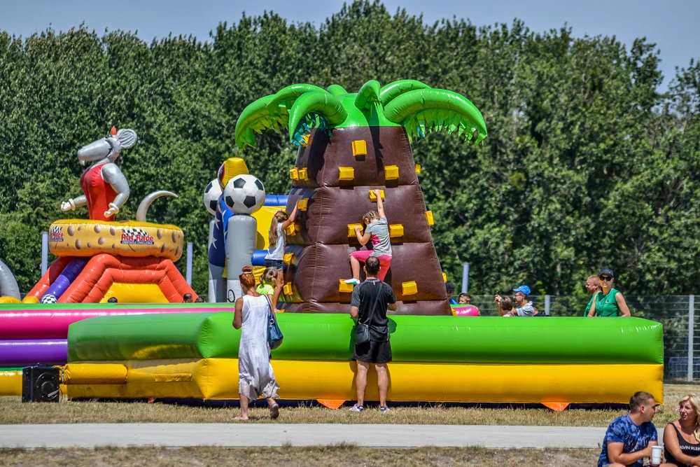 II Piknik Rodzinny na Śląskim 1