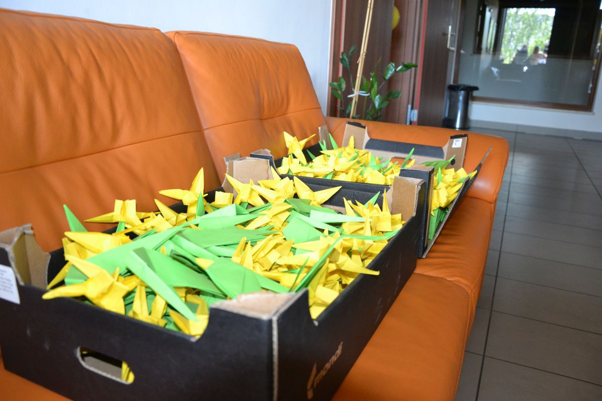 XVI Marsz Nadziei 11