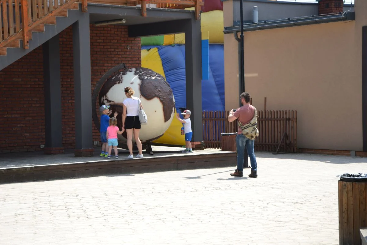 swiet-dzieci-w-twinpigs 19
