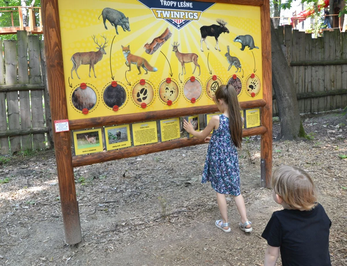 Tak się bawiliśmy w Dzień Dziecka w Twinpigs