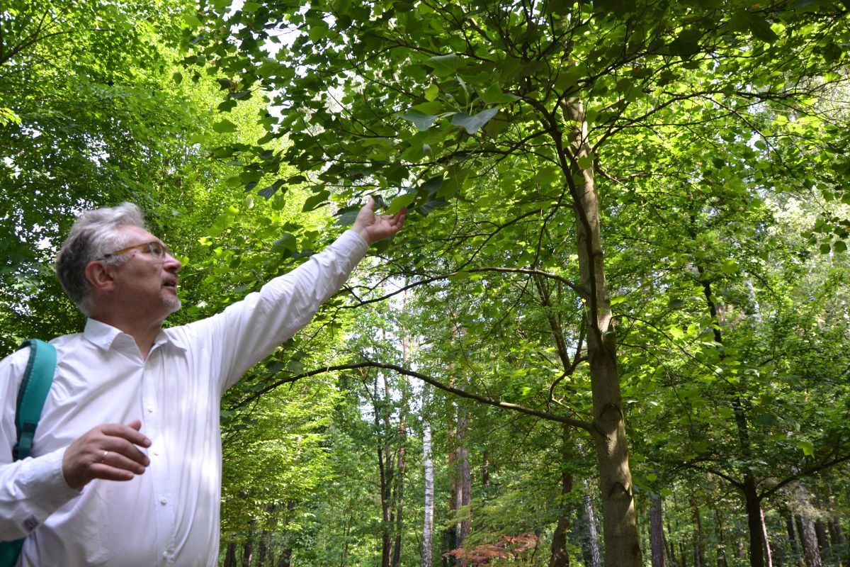 Spacer z przyrodnikiem po żorskim Parku Botanicznym
