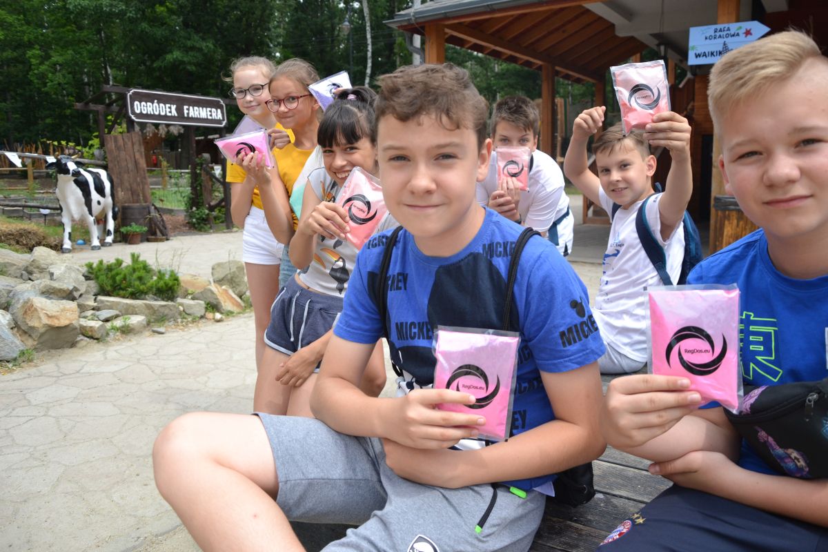 festiwal-kolorow-twinpigs 2