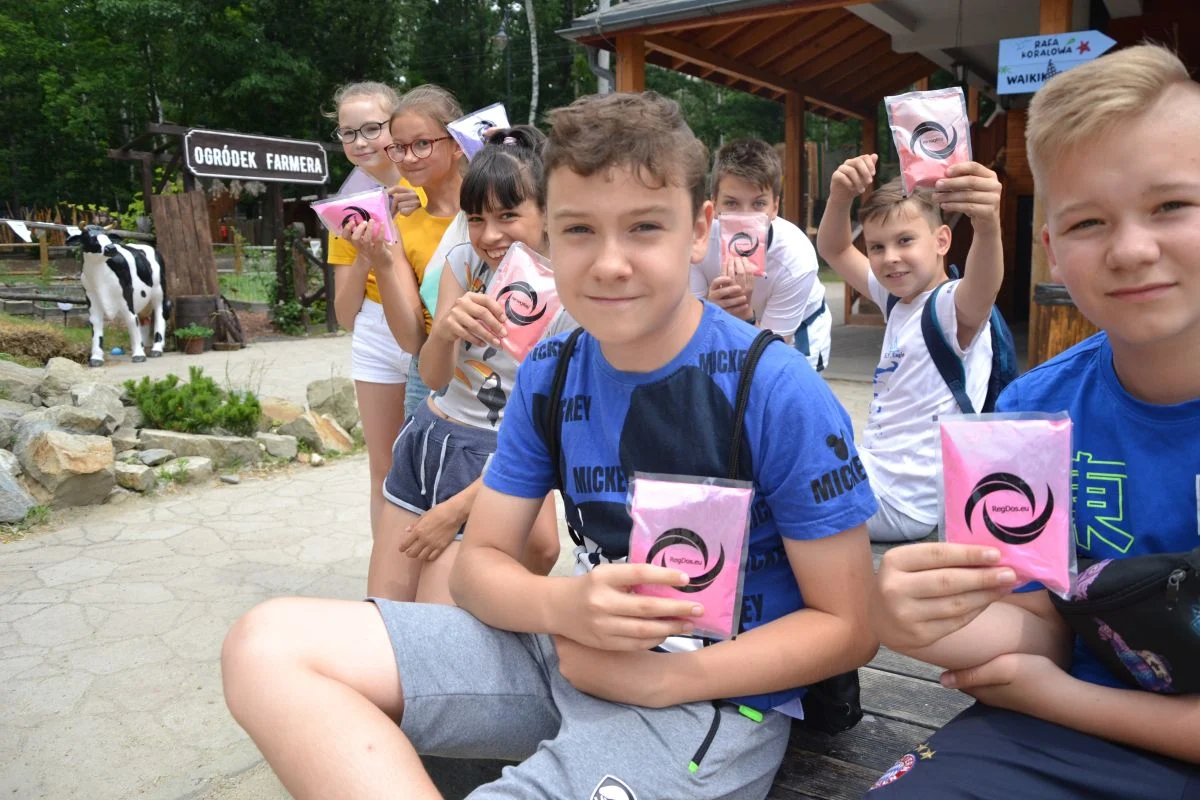festiwal-kolorow-twinpigs 2