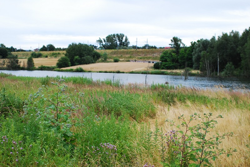 Potok Bielszowicki 8