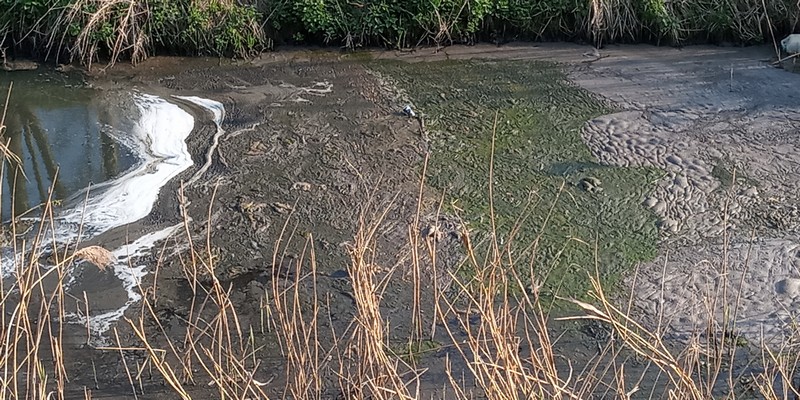 Potok Bielszowicki 11