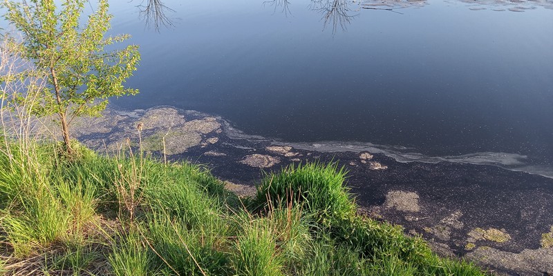 Potok Bielszowicki 13