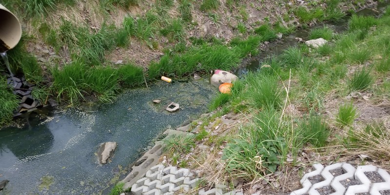 Potok Bielszowicki 15