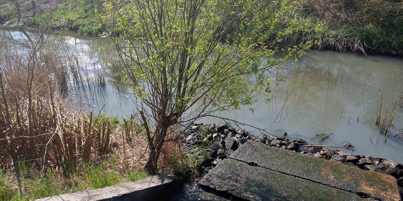 Potok Bielszowicki 16