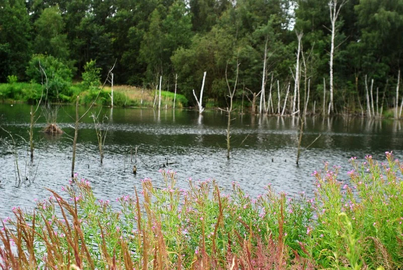 ABC Potoku Bielszowickiego, czyli o co ten ambaras?