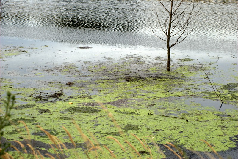 ABC Potoku Bielszowickiego, czyli o co ten ambaras?