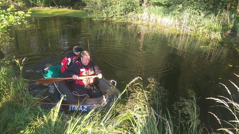 Akcja ratowania łabędzia zakończona sukcesem!