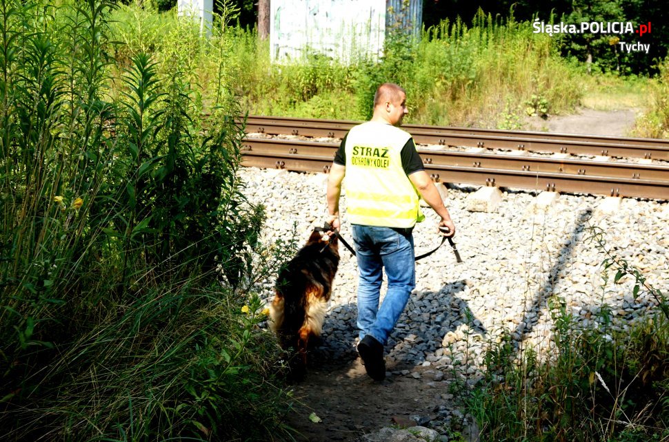 "Szlaban na ryzyko" w Tychach