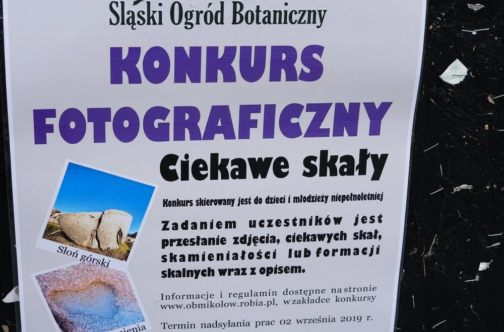 mikolow_jarmark staroci_lipiec 25