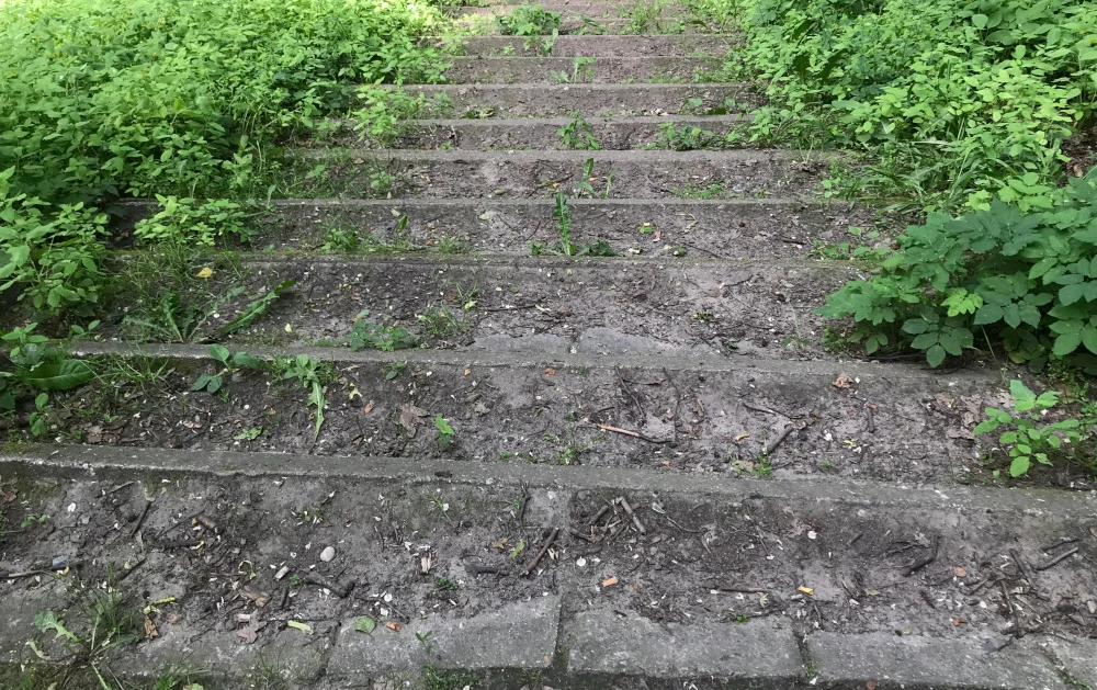 park planty 11