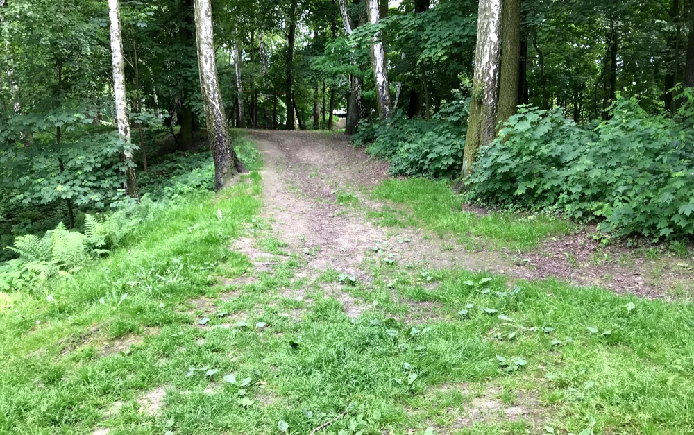 park planty 12
