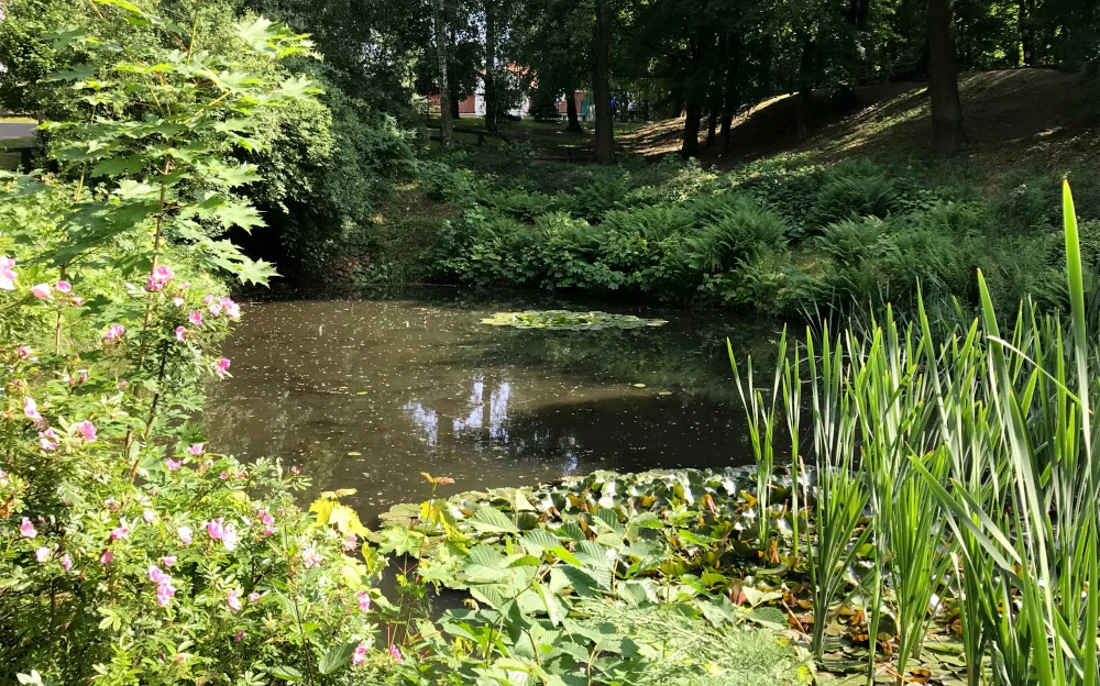 park planty 14