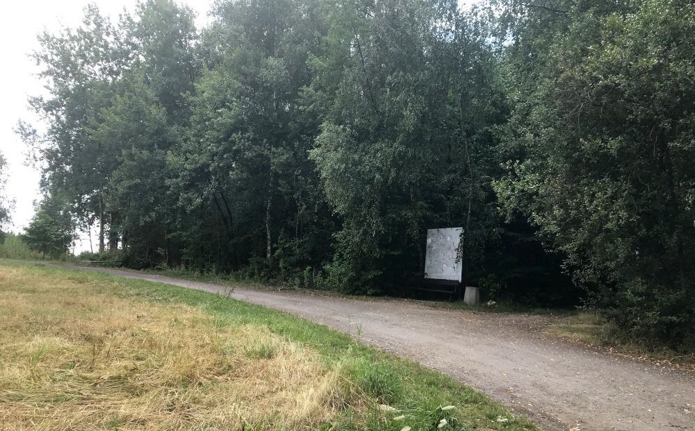 Dwupasmowa droga przez Wzgórze Kamionka? Kontrowersje wokół PZP dzielnicy