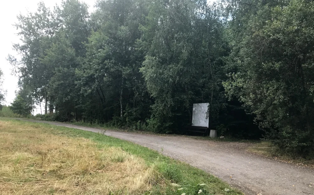 Dwupasmowa droga przez Wzgórze Kamionka? Kontrowersje wokół PZP dzielnicy