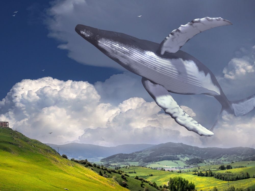 Co skrywa przyszłość? Jaki wpływ na twój los ma twój znak zodiaku, imię, sen?