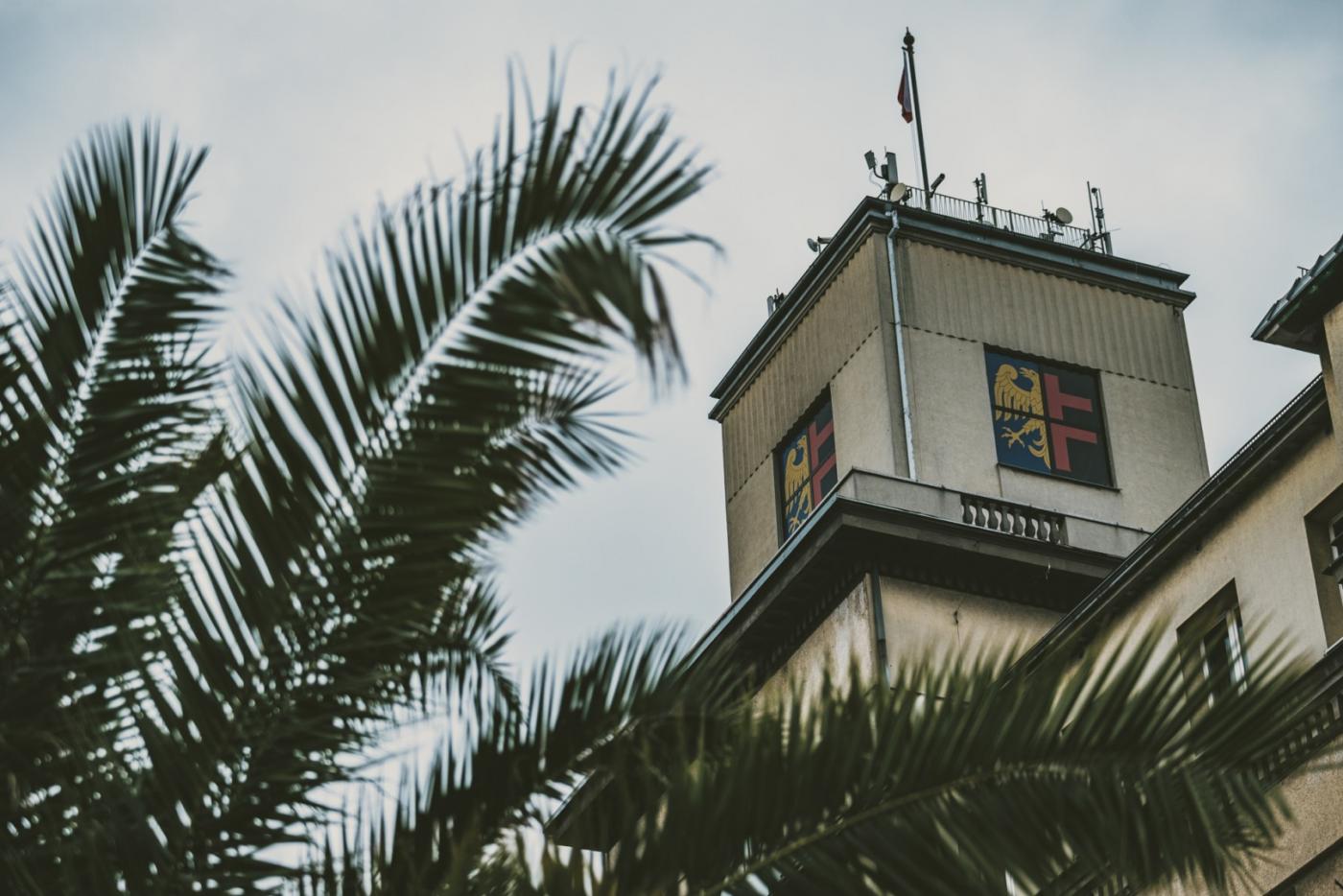 Chorzów: Nowy Rynek się bawi! Jakie atrakcje czekają? Sprawdź!