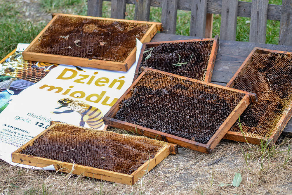 Dzień Miodu w Skansenie 2019 42