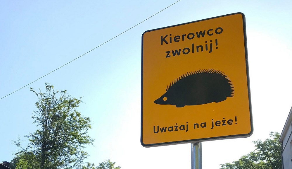 "Kierowco zwolnij. Uważaj na jeże!". Takie znaki pojawiły się ostatnio w Chorzowie