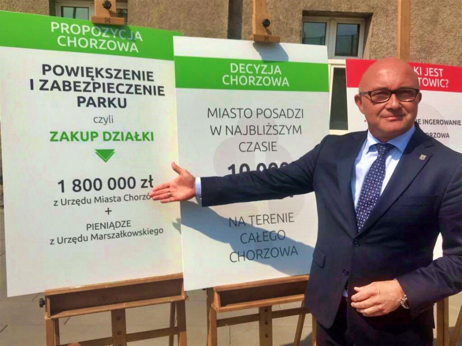 Kładziemy na stół 1,8 mln zł - prezydent Chorzowa w sprawie wycinki drzew