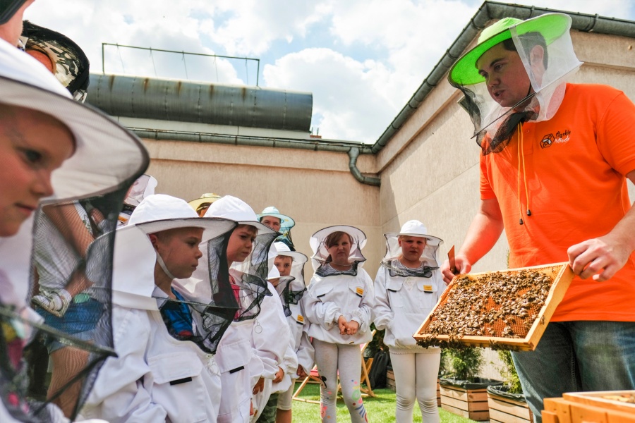 Chorzów ma 100 tys. nowych mieszkańców i... własny miód