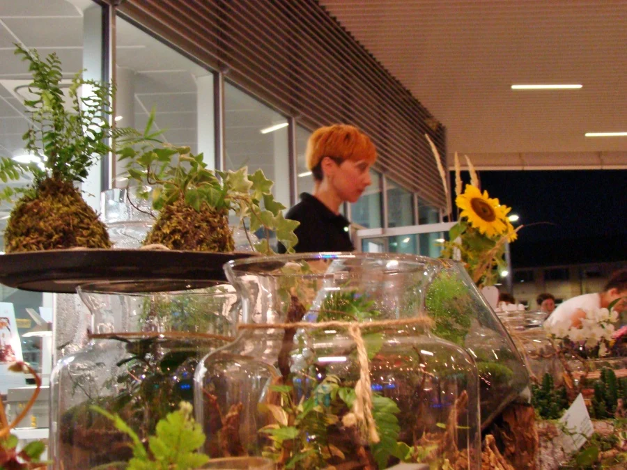 Nocny Market 5