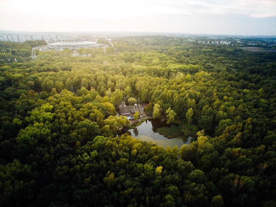Chorzów: W Parku Śląskim zorganizowana zostanie akcja sadzenia 1327 drzew