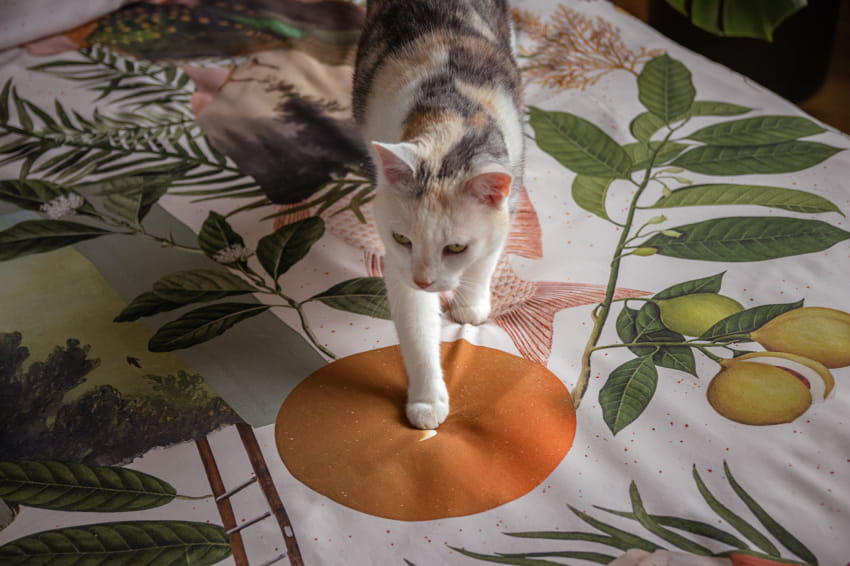 Jak pielęgnować i dbać o pościel?