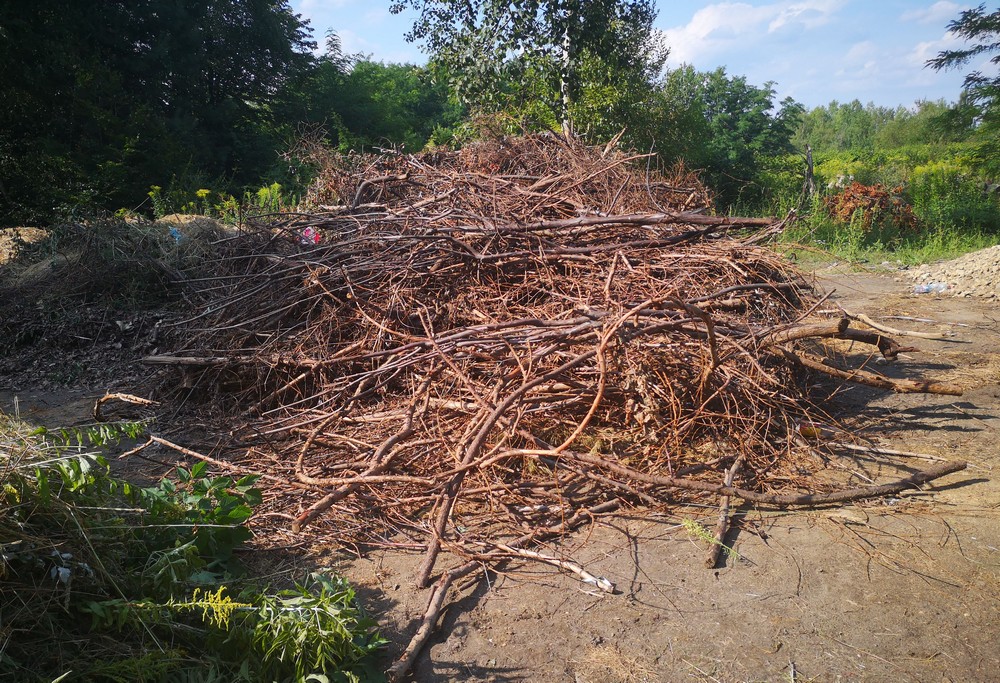 Miasto Bytom na bieżąco sprawdza firmy świadczące usługi na rzecz utrzymania czystości