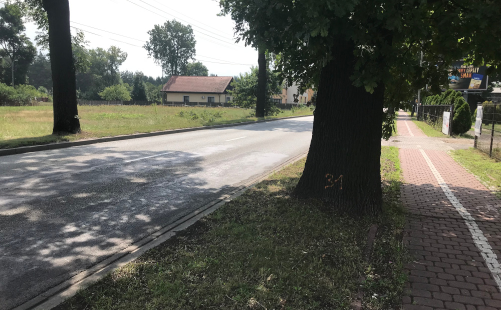 Na granicy Mikołowa i Katowic usuną drzewa. Władze Mikołowa wiedziały o wycince?