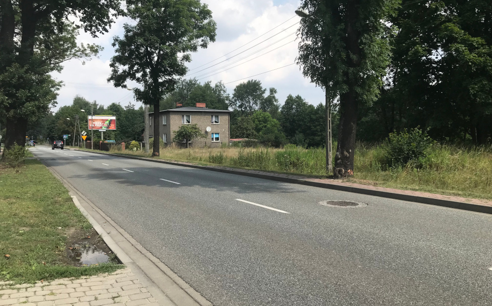 Na granicy Mikołowa i Katowic usuną drzewa. Władze Mikołowa wiedziały o wycince?