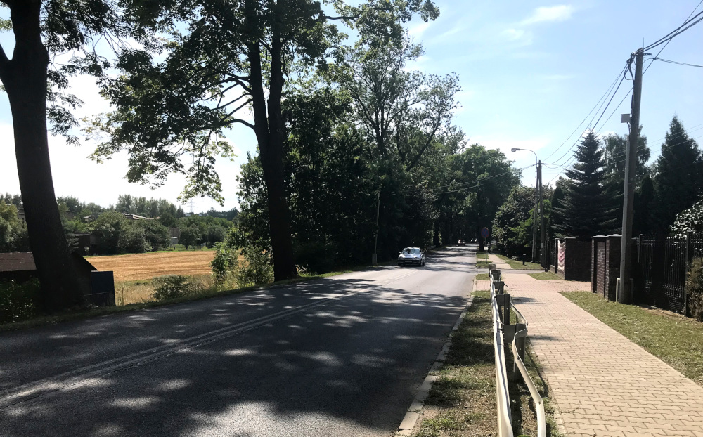 Co z wycinką drzew na Rybnickiej? Część mieszkańców za, część przeciw