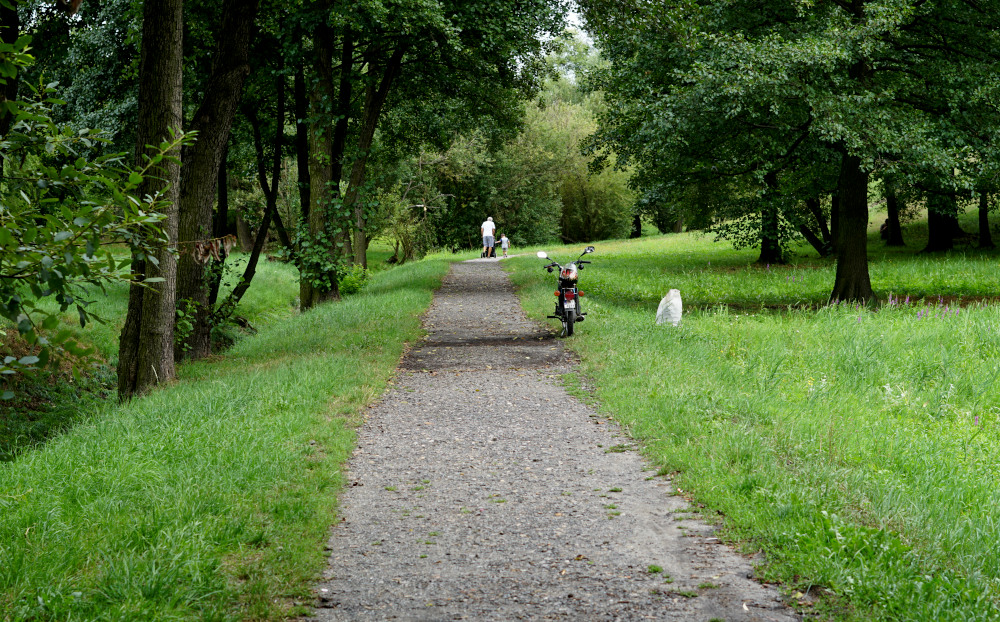Budżet Obywatelski: Na te pomysły zagłosujemy w VI edycji. Lista projektów zweryfikowana