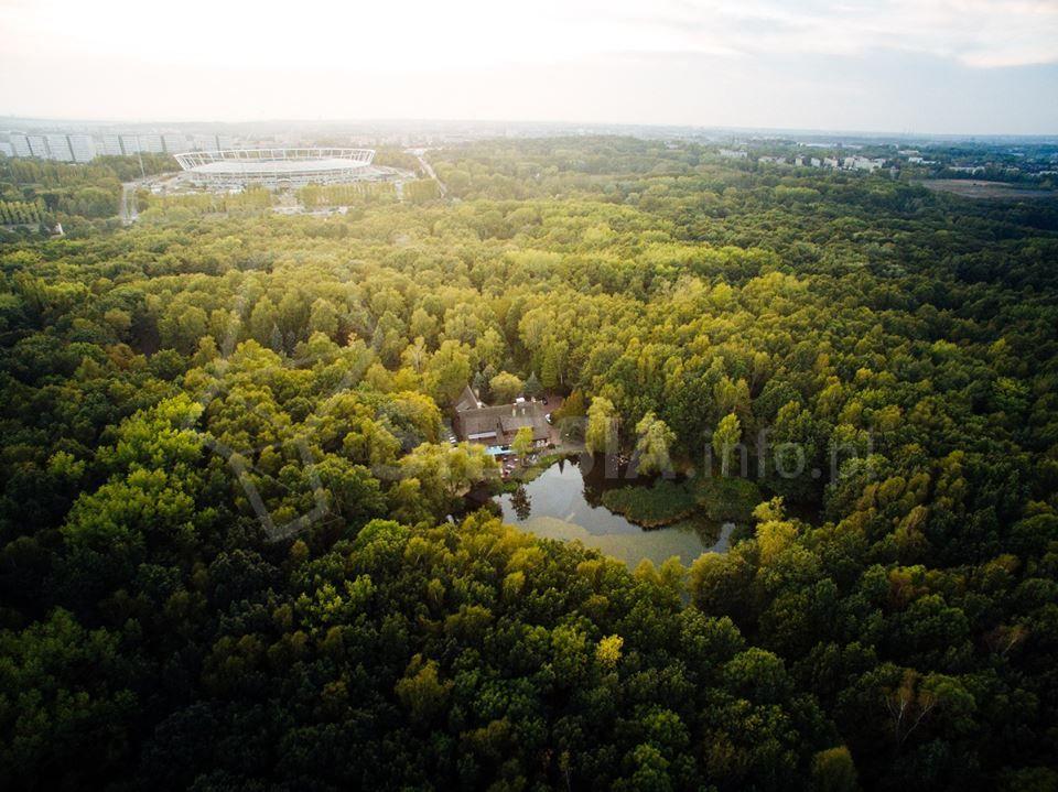 Park Śląski: nowe alejki widokowe kosztem drzew? Był taki plan