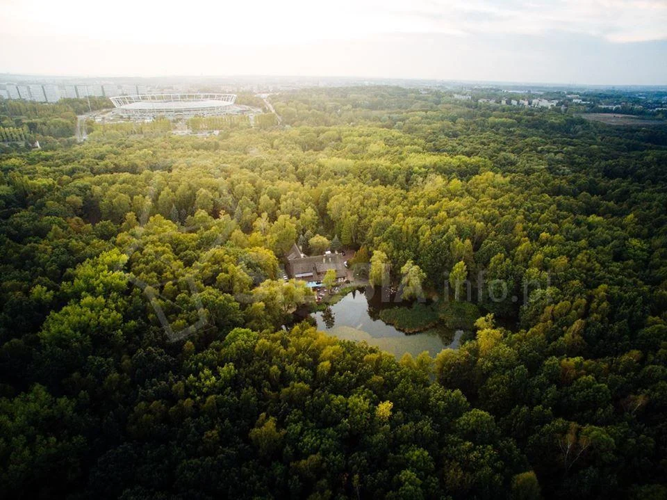 Park Śląski: nowe alejki widokowe kosztem drzew? Był taki plan