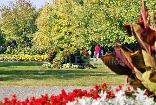 Radni PiS z Chorzowa chcą uznania Parku Śląskiego za zespół przyrodniczo-krajobrazowy