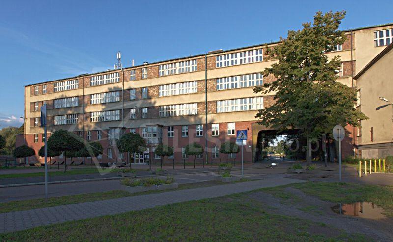 Śląski Uniwersytet Medyczny w Katowicach znalazł się w prestiżowym Rankingu Szanghajskim