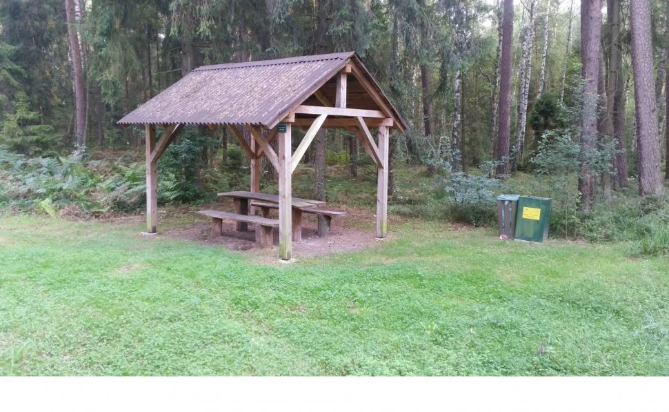 Zgubiłeś się w lesie? Nie panikuj!