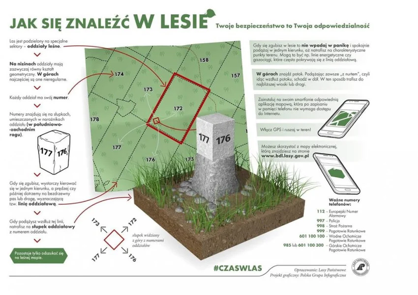 Zgubiłeś się w lesie? Nie panikuj!