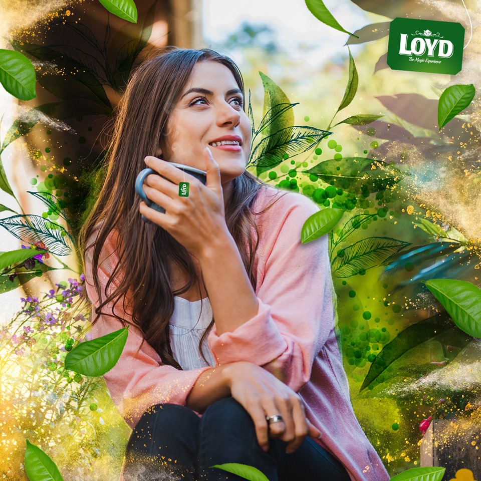 Herbata Loyd - dlaczego warto pić ją regularnie?