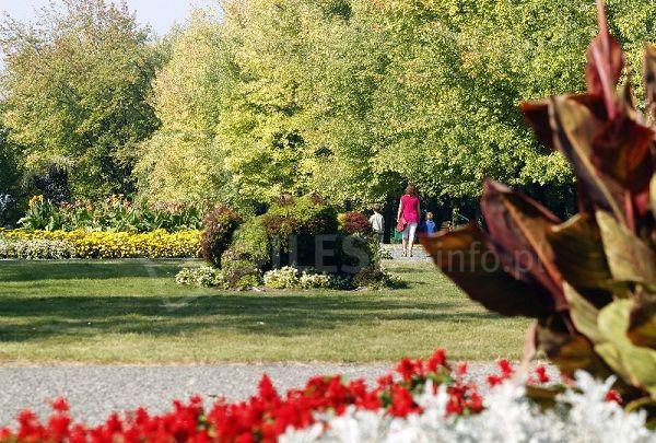 Chorzów: Ruszyły prace nad utworzeniem parku kulturowego na obszarze Parku Śląskiego